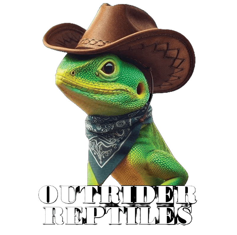 Outrider Reptiles brand character