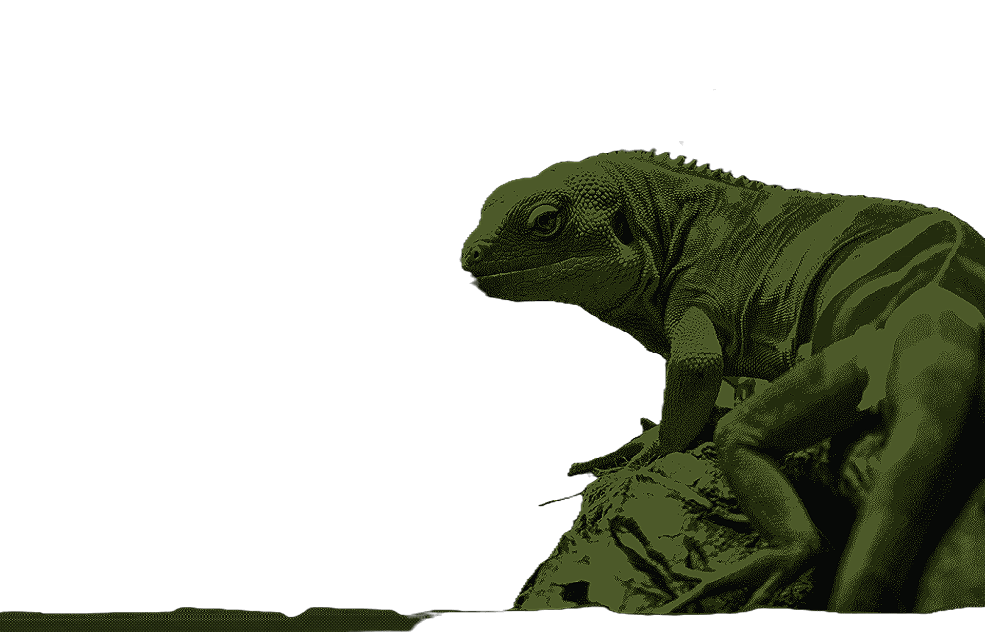 Outrider Reptiles mascot